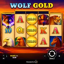 Wintari - Wolf Gold Slot - Pragmatic Play